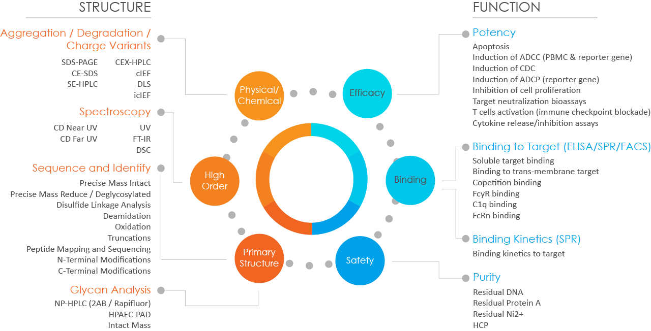 Analytical-Capabilities